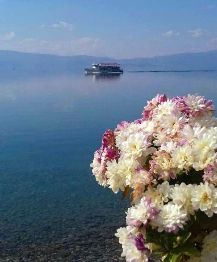 Apartmani Bakule Peštani エクステリア 写真