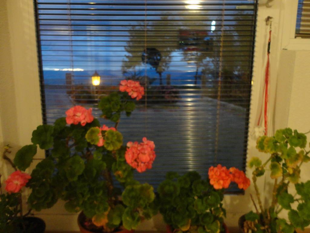 Apartmani Bakule Peštani エクステリア 写真